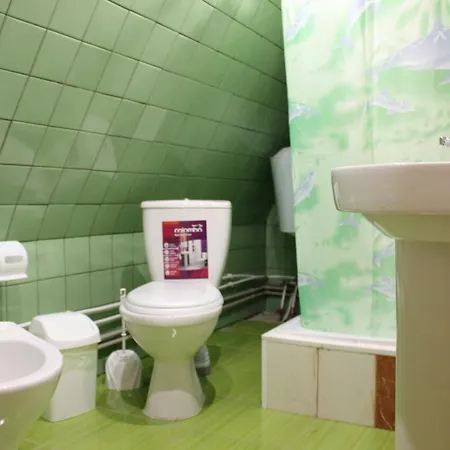 Affittacamere Skhovanka Dovbusha 3*