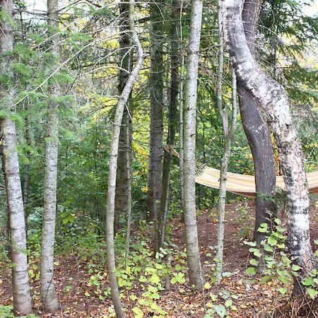 Skhovanka Dovbusha Myhove