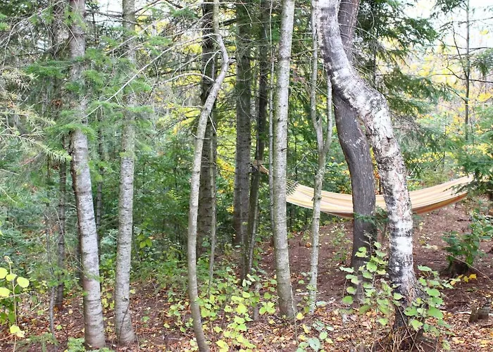 Skhovanka Dovbusha Myhove