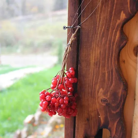 Πανσιόν Skhovanka Dovbusha Migovo